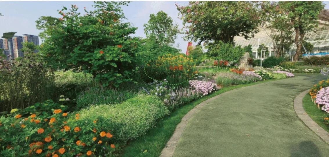 深圳花海公园地址在哪里,深圳中心河公园花海