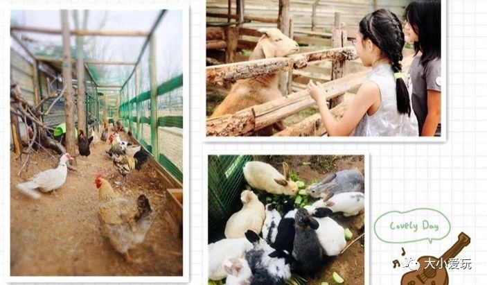 北京周边好玩的野外烧烤,北京适合野外烧烤的地方