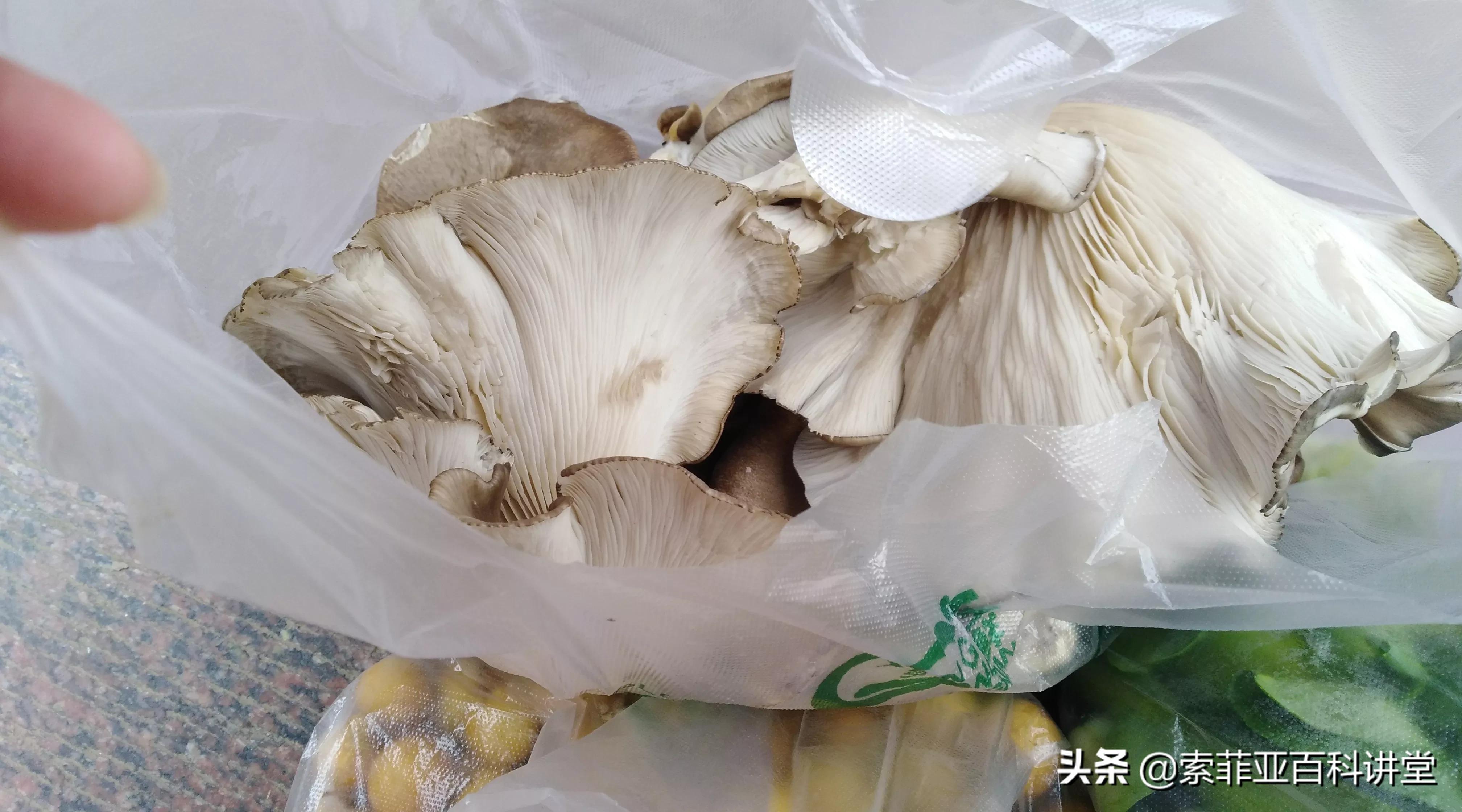 陕西灯笼,陕西给外甥送灯笼讲究