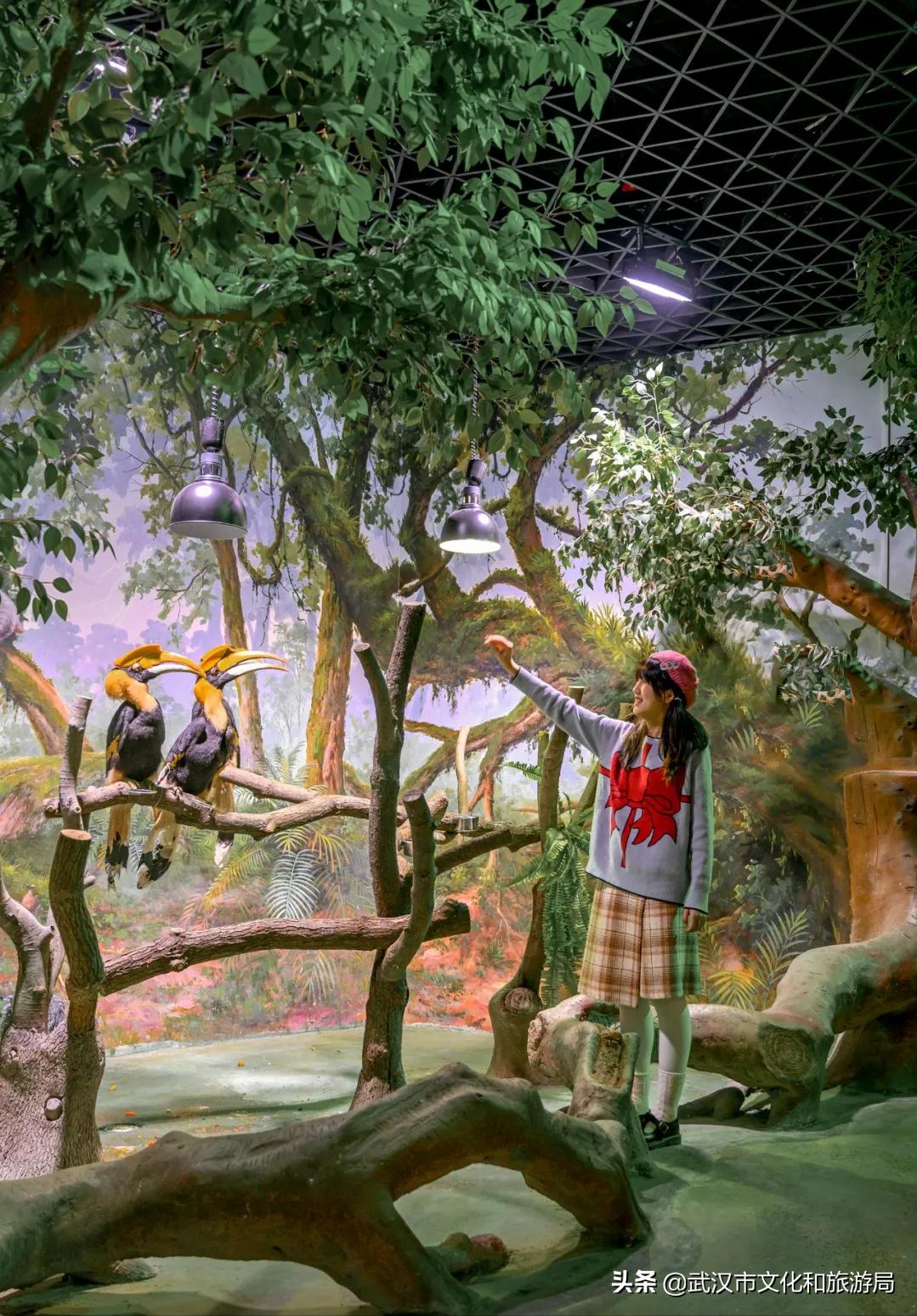 武汉人春节都去哪里玩,武汉人游玩攻略必去景点