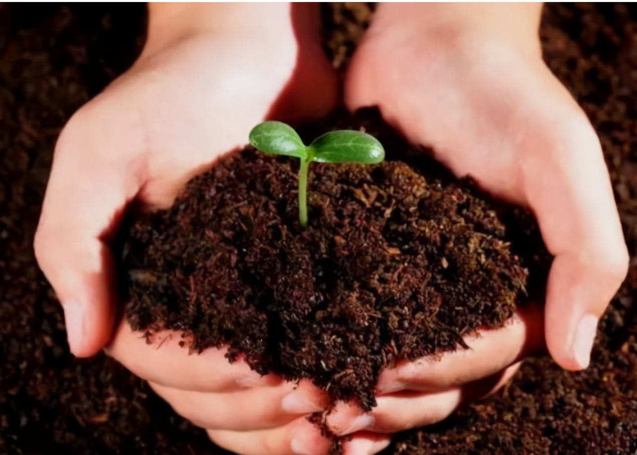 微生物菌剂主要含有什么菌,微生物菌与微生物菌剂