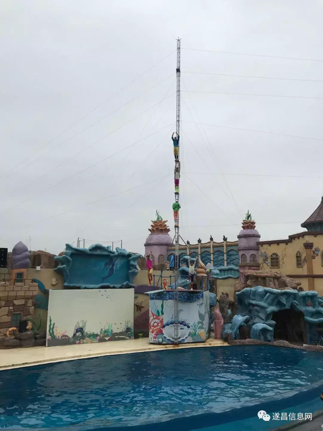 杭州长乔极地海洋公园表演,杭州长乔极地海洋公园攻略