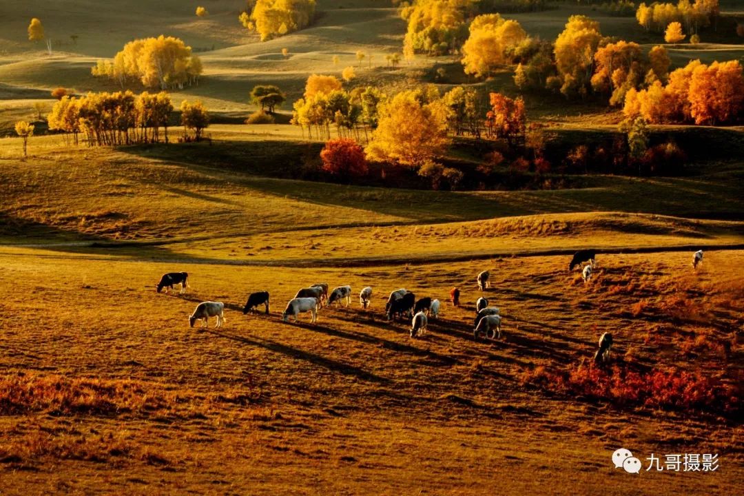 坝上草原天路美景,大美坝上风光系列之一