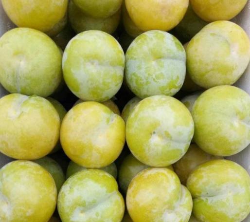 云南青脆李如何吃,四川李子脱骨青脆李怎么吃