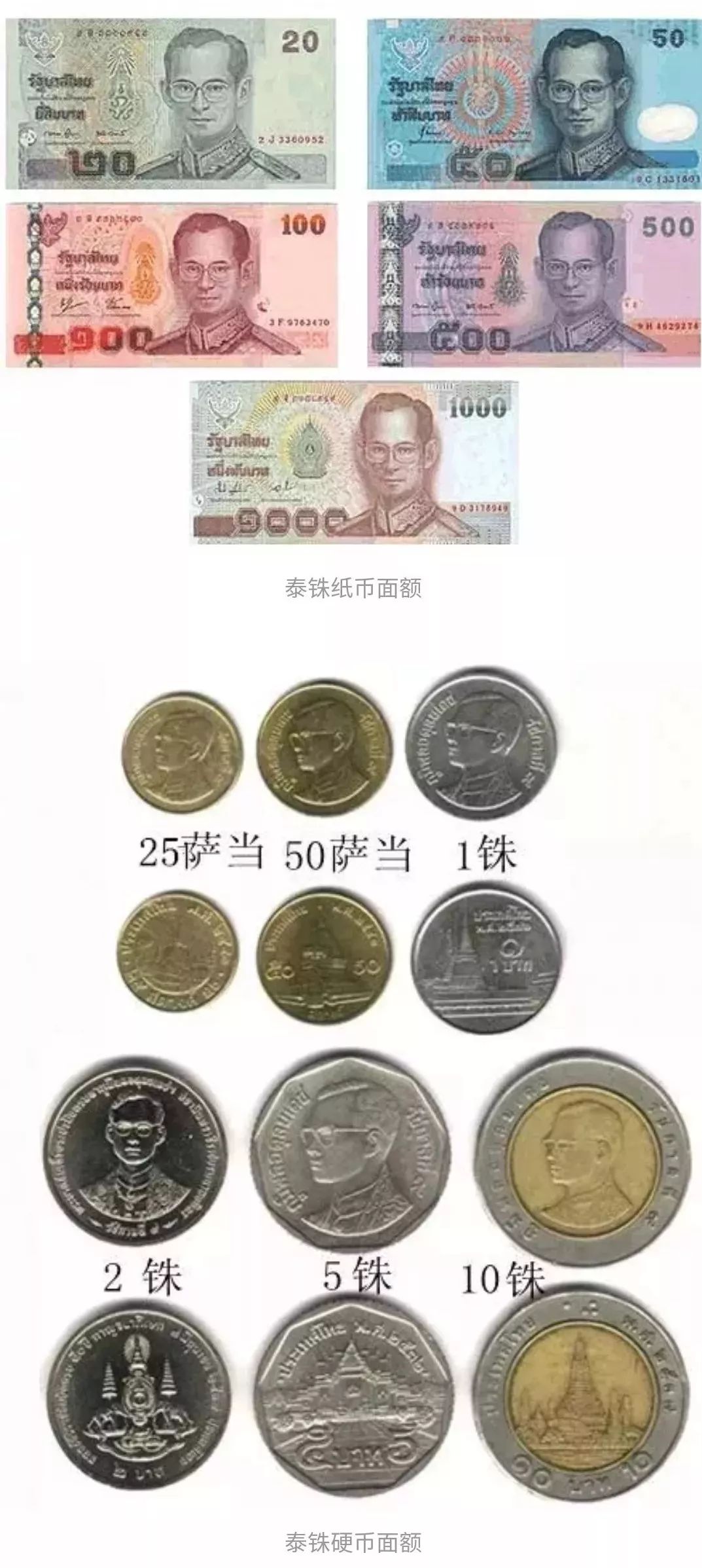 最新到泰国落地签怎么申请,教你如何在泰国落地签快速通关