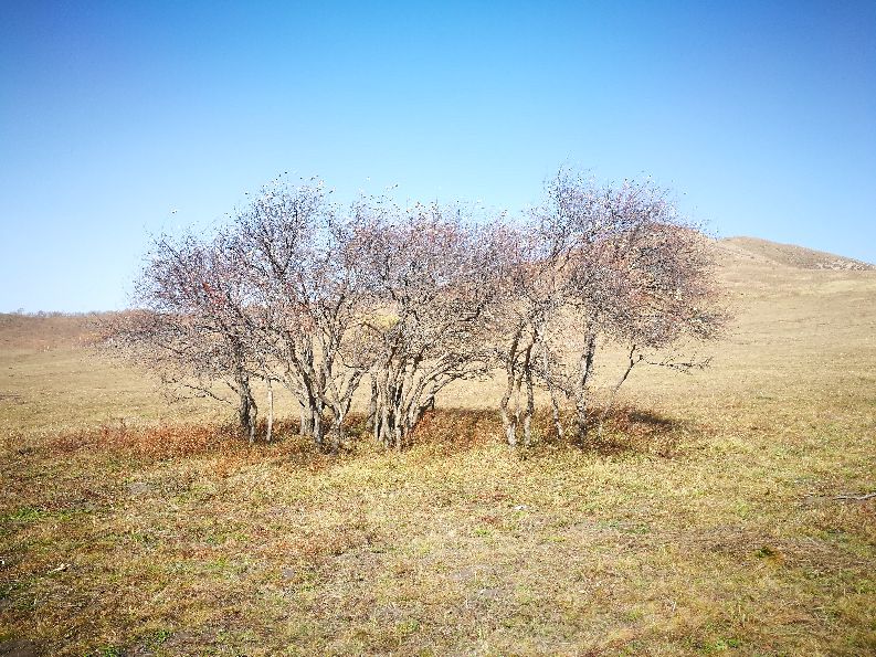 中秋国庆双节自驾游推荐,中秋双节自驾游
