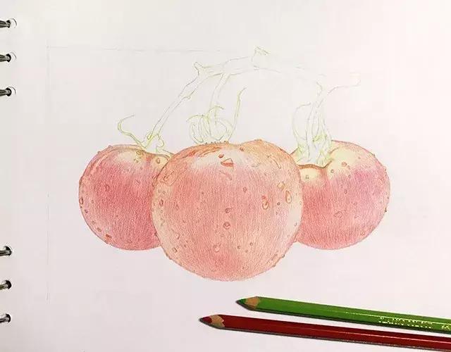 儿童彩铅画番茄,彩铅画写生番茄