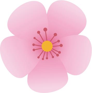 上海广播电台最新节目,上海电台上海话节目