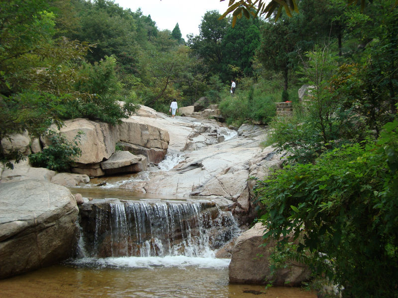 滕州赏花免费景点,滕州莲青山游玩攻略