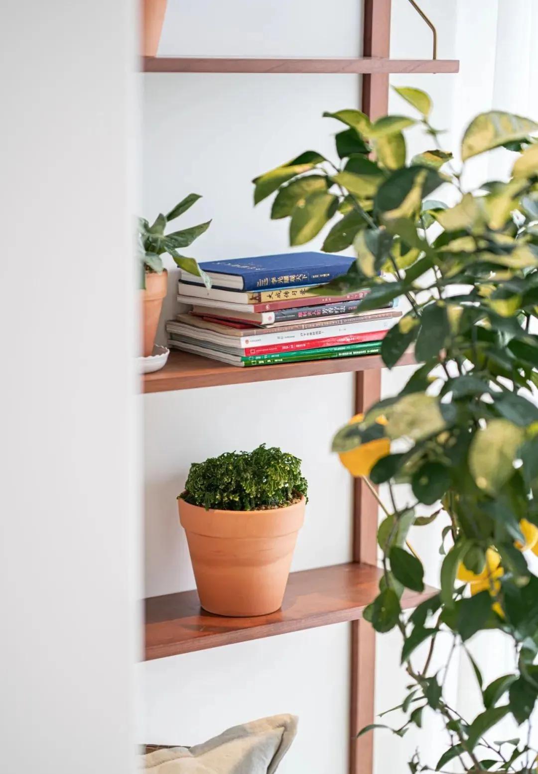 老房小户型拱形门洞,装修房子效果图现代简约暗门