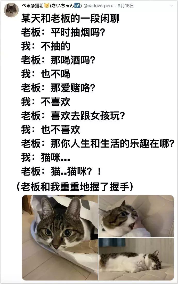 国外真人服装店模特,美国服装模特