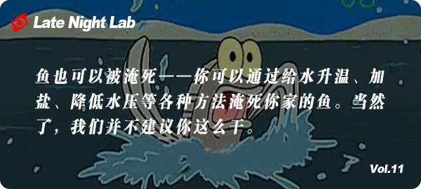 淹死一条鱼几分钟,如何淹死一条鱼