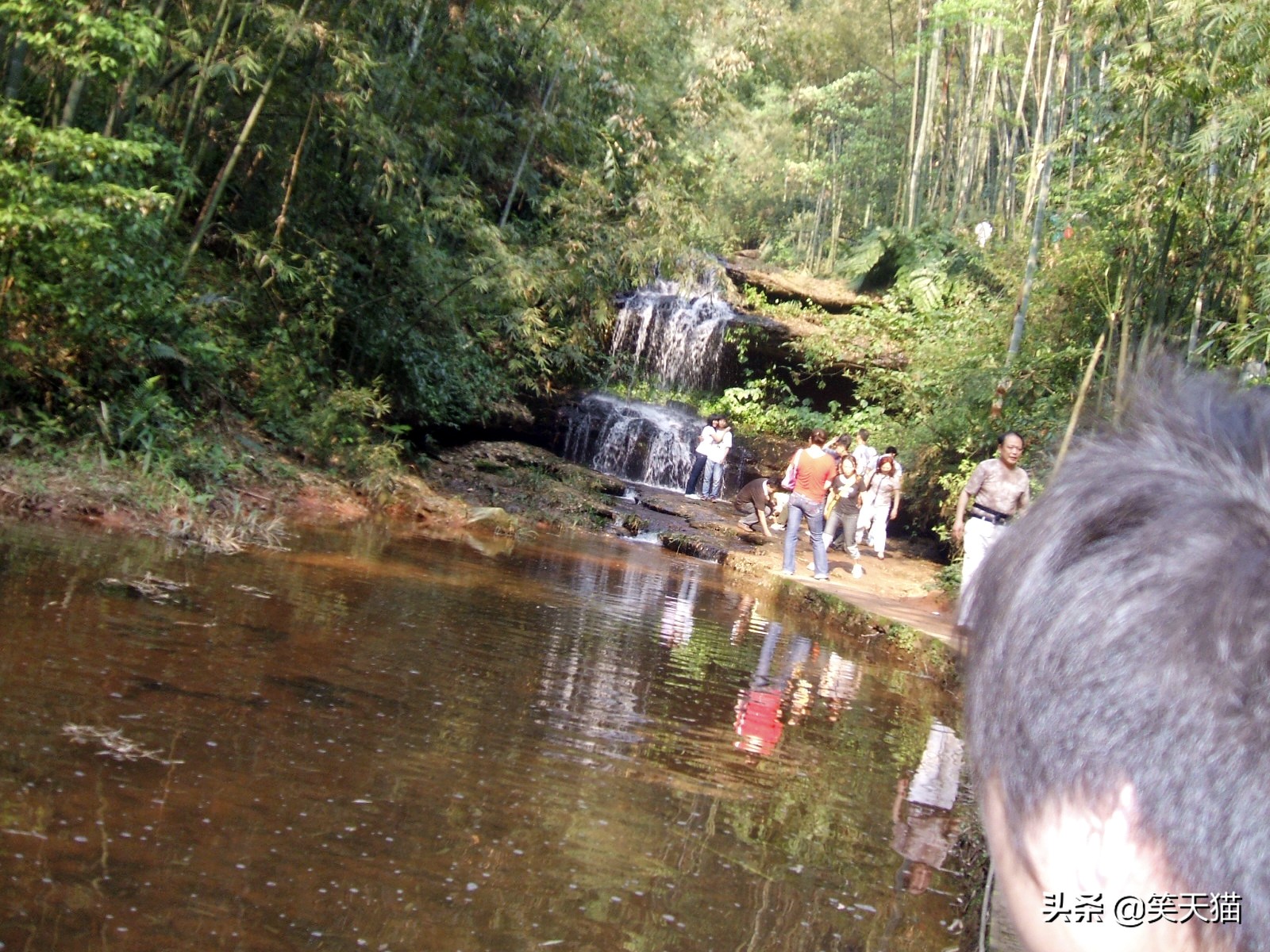 四川宜宾竹海风景,宜宾蜀南竹海全视频