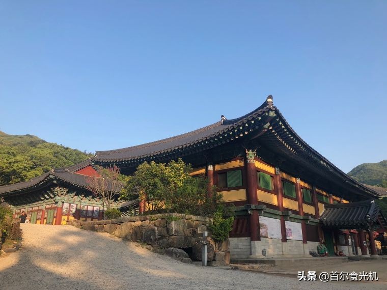 海苔拌饭玛喜达,玛喜达拌饭团购