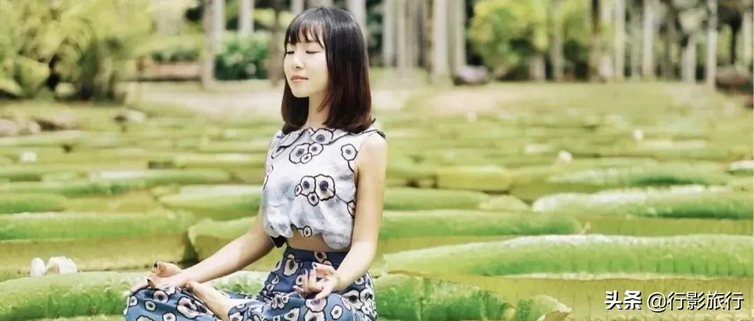 云南的西双版纳州怎么样,云南西双版纳景区怎么样