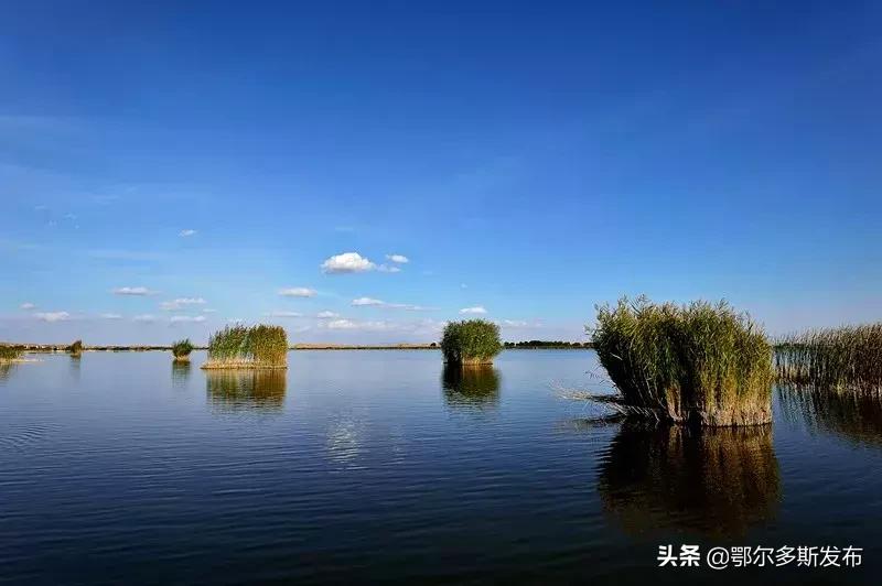 中国可以夜晚看星星的沙漠,迪拜沙漠与大海交汇的奇观