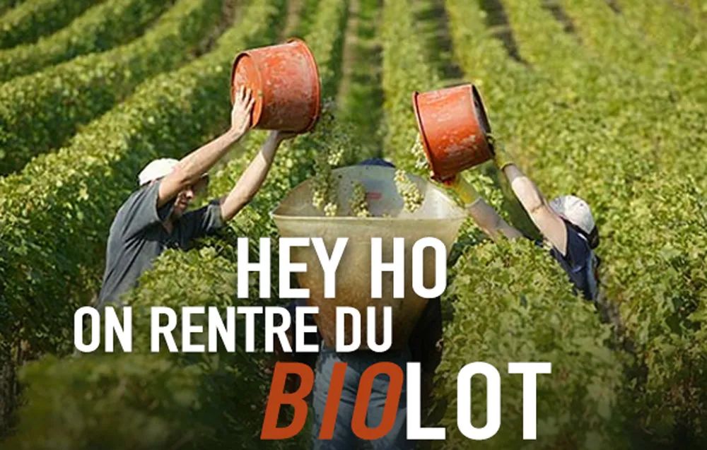 有机认证如何辨认真假,怎样识别有机认证真假