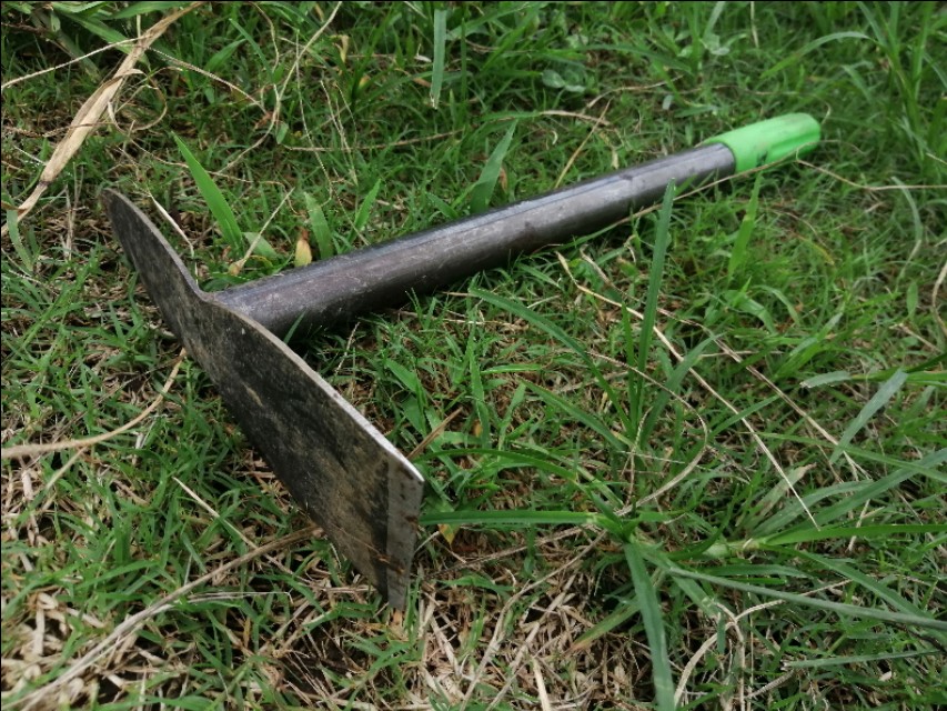 漫漫踢球路：疫情后的草根足球艰难前行“续”