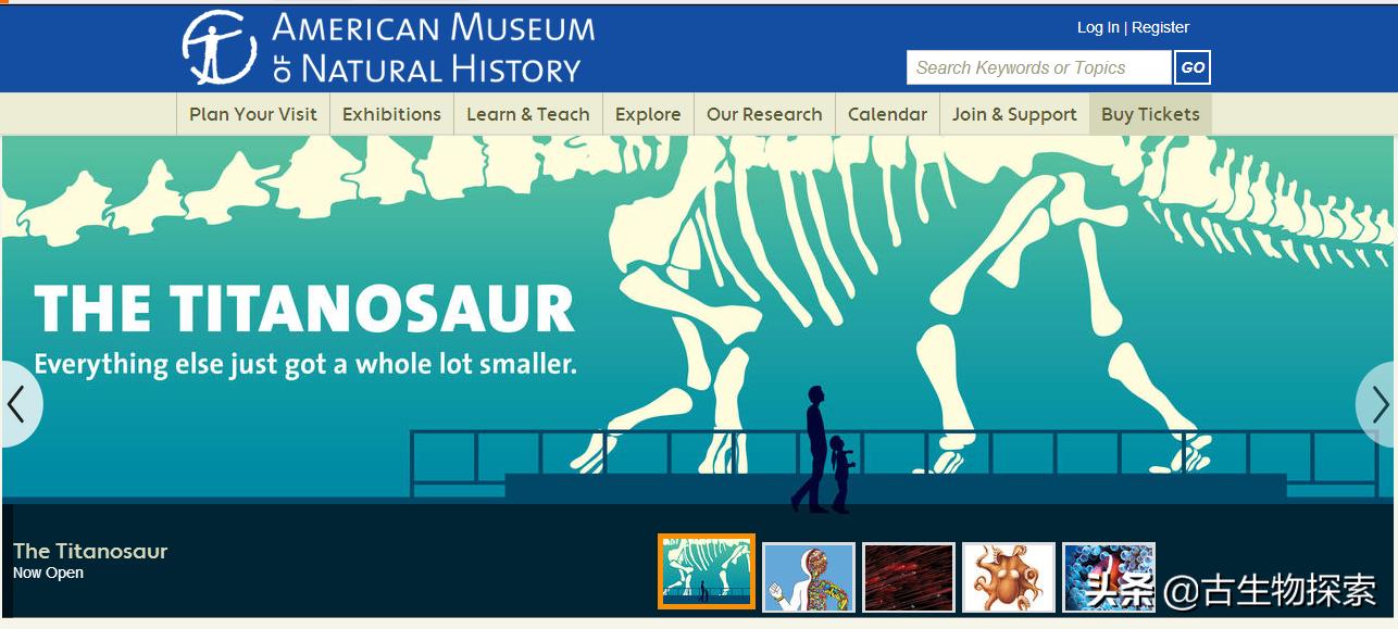 巴塔哥泰坦龙完整化石,巴塔哥泰坦龙进化史