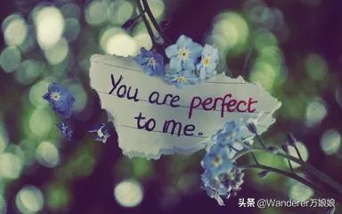 初中英语语法句子成分讲解,复杂英语句子成分的详细解读