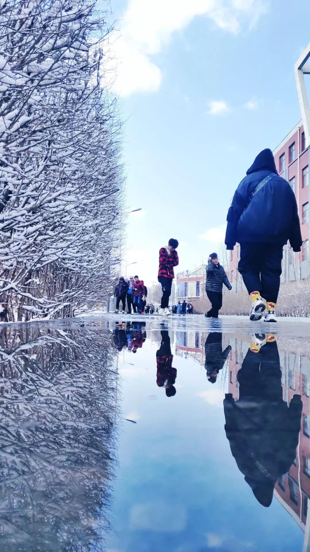 辽宁中医药大学杏林学院独立学院,辽宁中医药大学三个校区