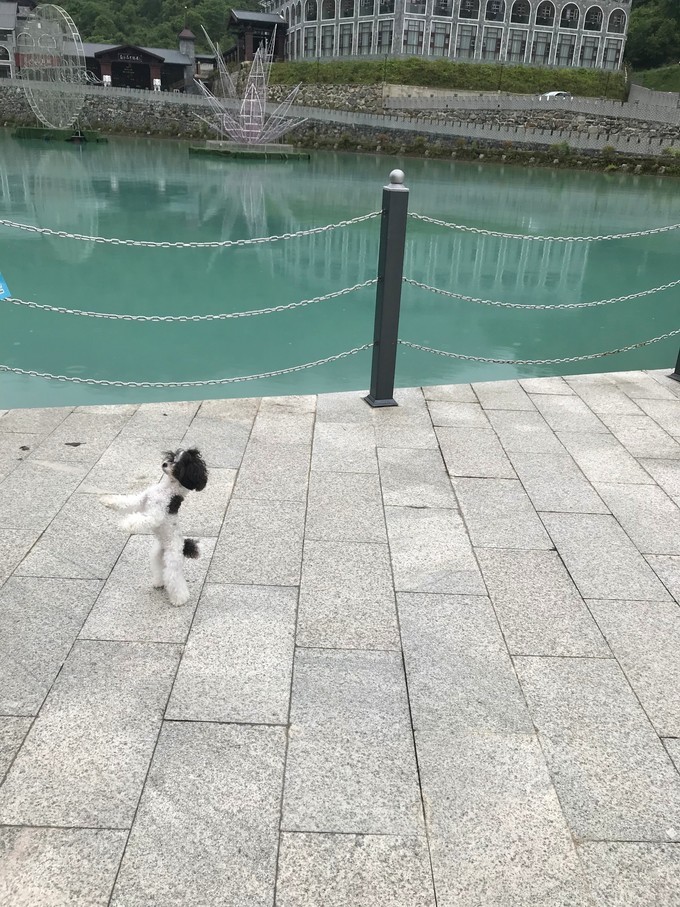 成都喇叭河自驾,自贡到喇叭河自驾