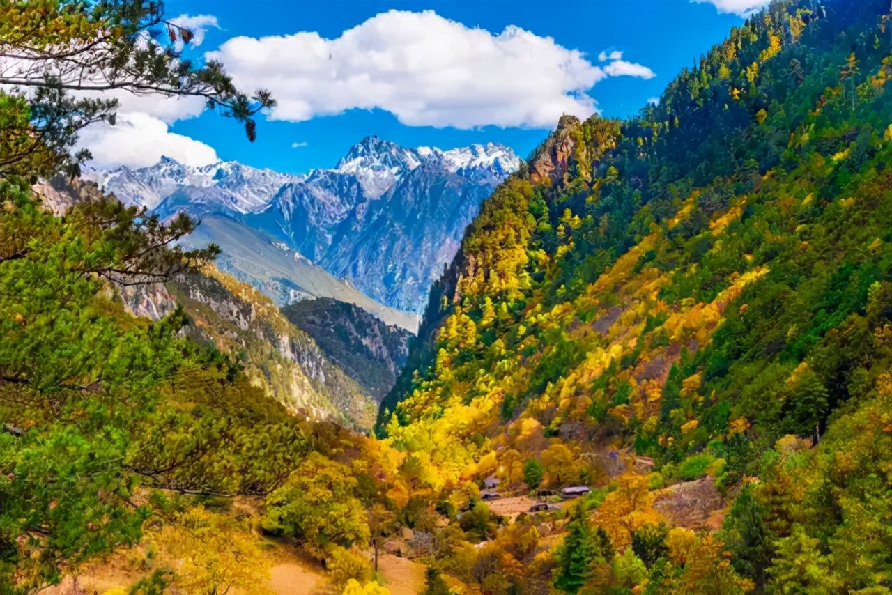 1011月错过它们,等于错过整个秋天!人少清净,随手一拍都是大片