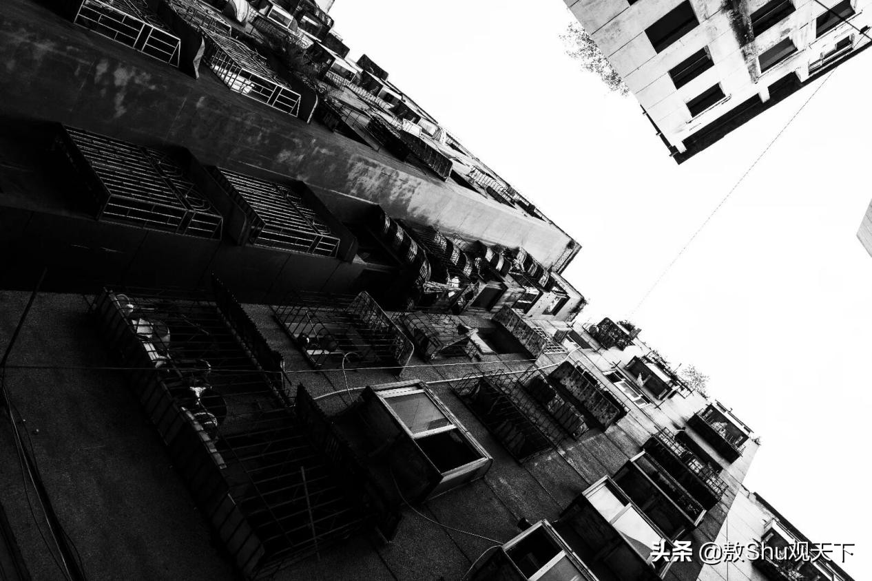 斑马斑马女声版,斑马斑马原唱完整版