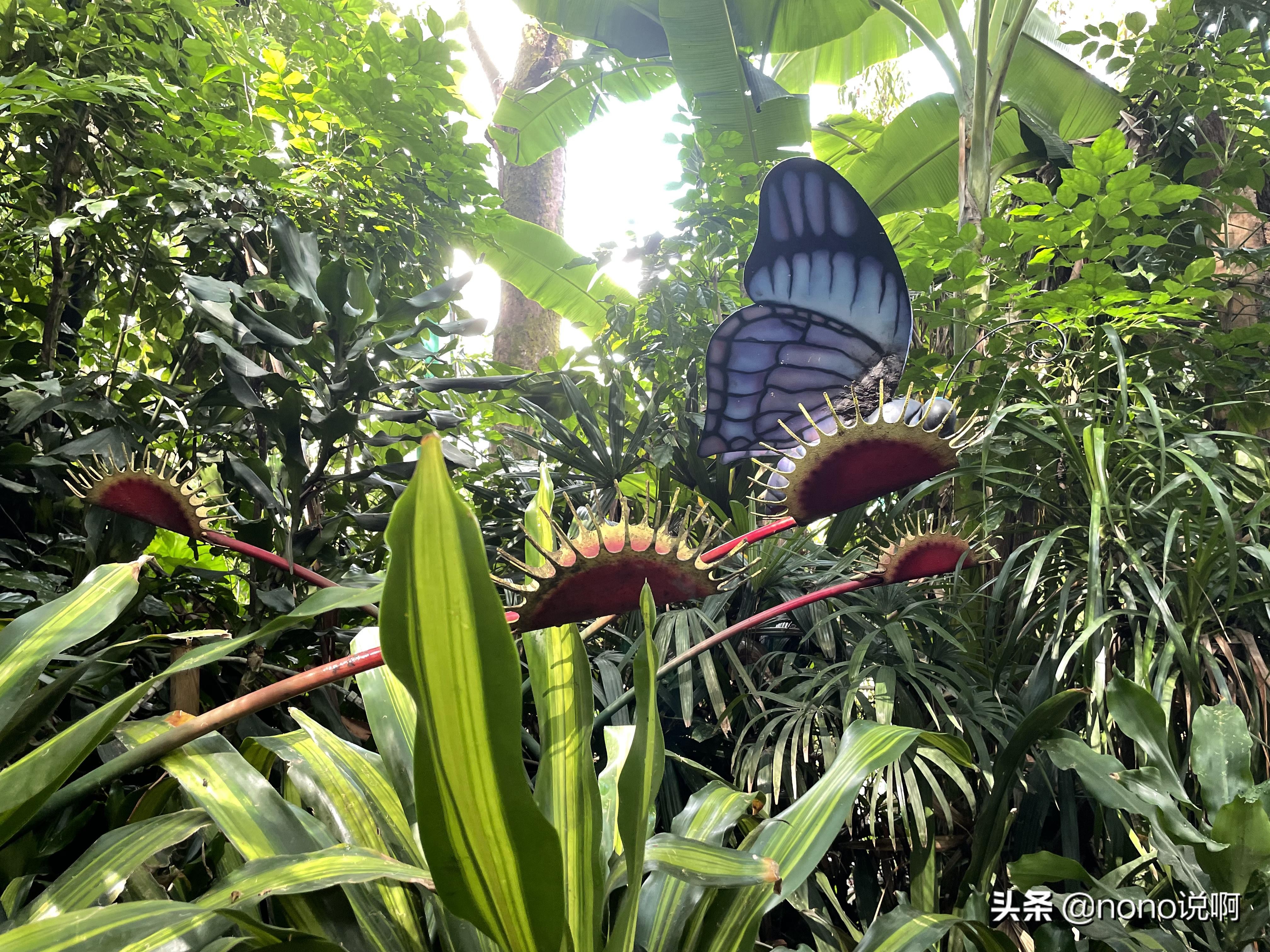 广州长隆野生动物园亲子旅游攻略,11月广州长隆野生动物园游玩攻略