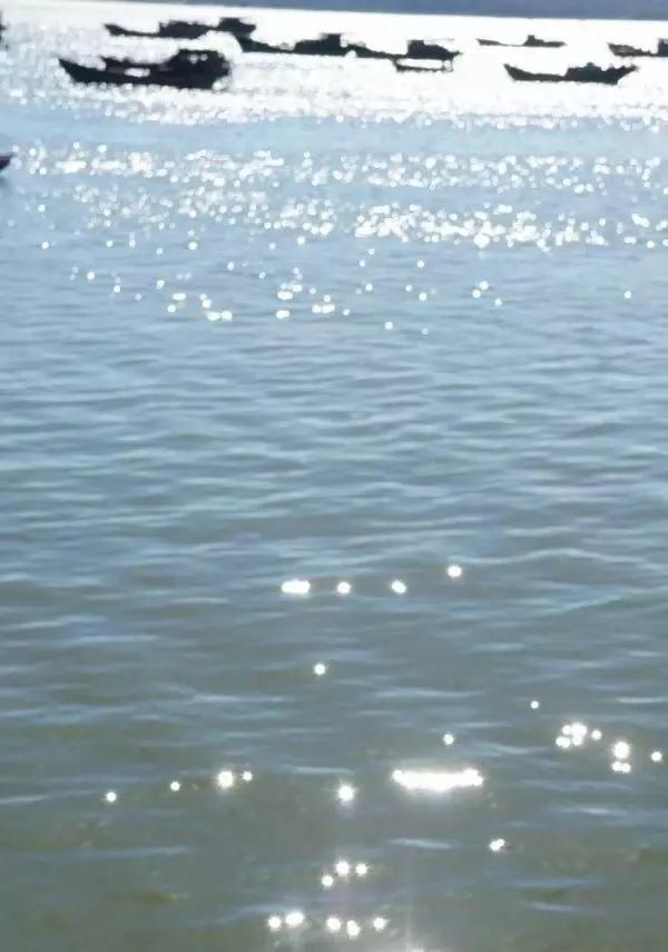 一线特稿：*江阳**“船”说