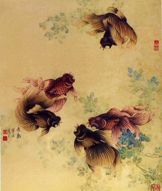 金鱼缸适合养什么水草图片,金鱼缸里养什么样的水草好