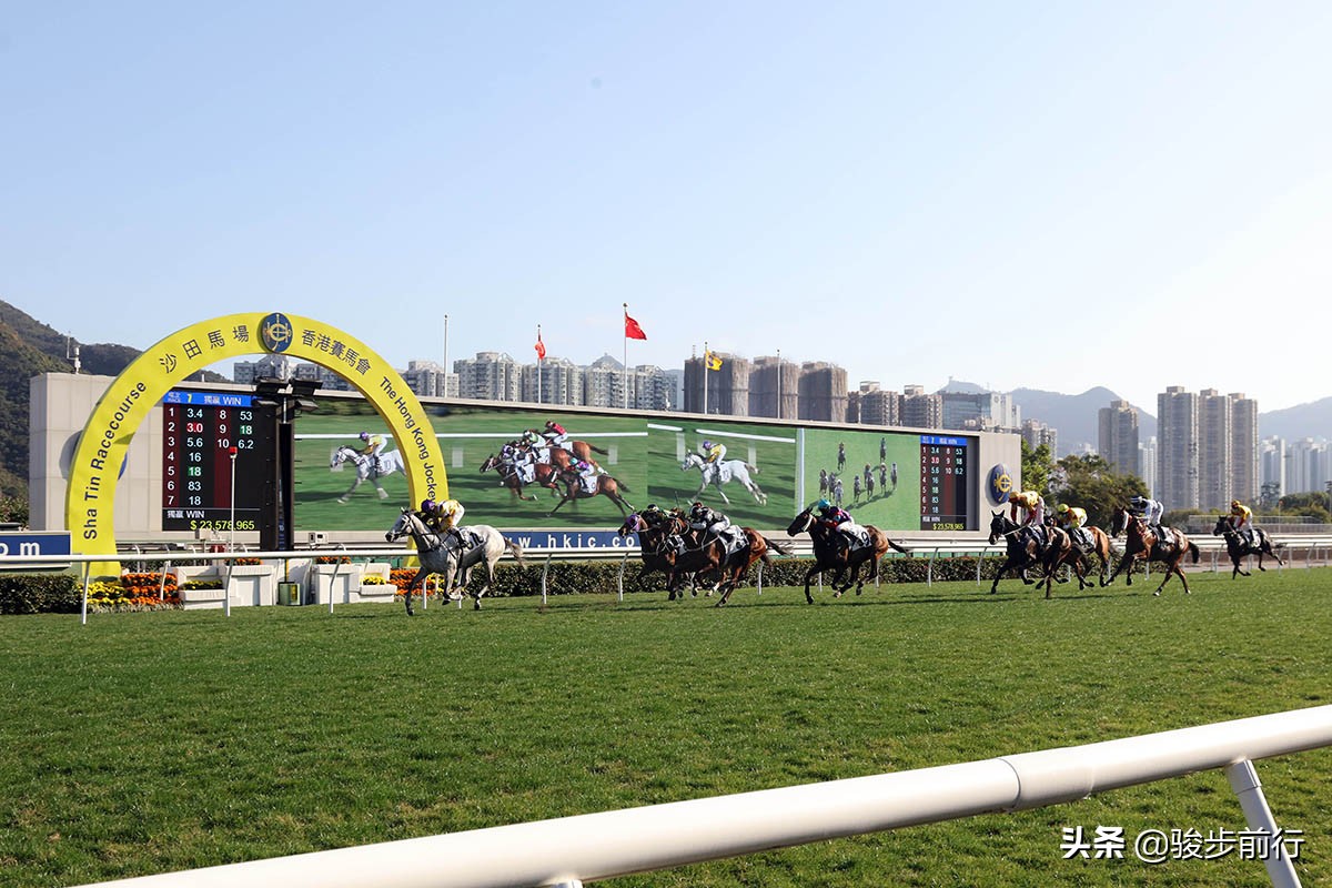 赛马马彩,最新海南赛马产业