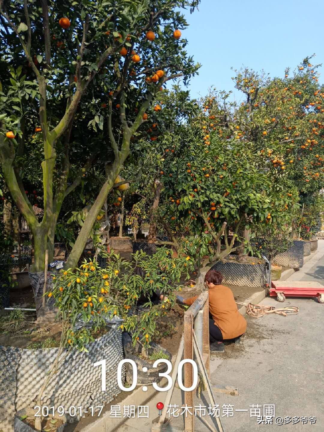 武进嘉泽夏溪小学,江苏省常州市武进区夏溪小学