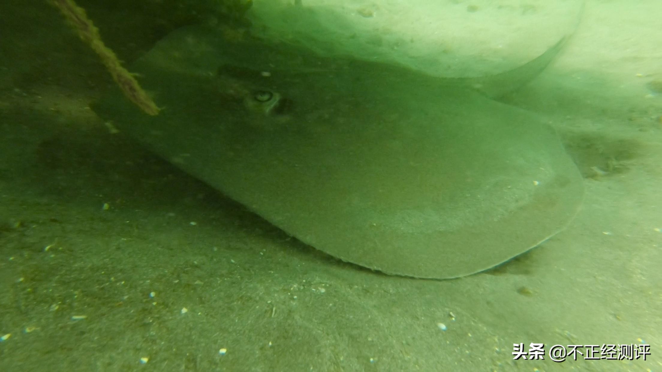 巴厘岛旅行2天,巴厘岛旅行第二天视频