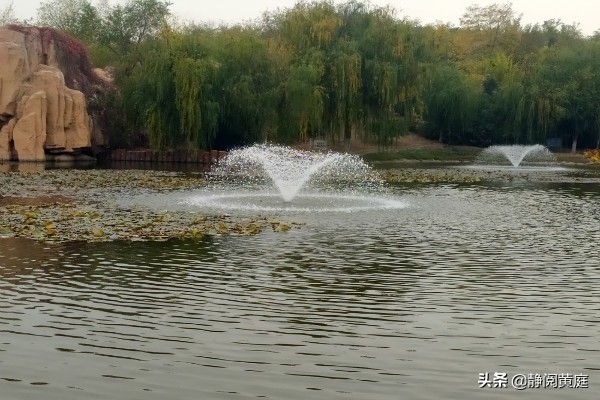 刘禹锡为什么要去牵牛织女家,刘禹锡关于黄河