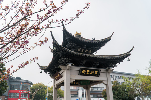 踏春赏花正当时，打卡千垛水上油菜花！玩转兴化景点美食全攻略