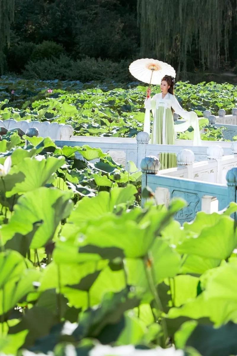 诗经月出的赏析,诗经赏析