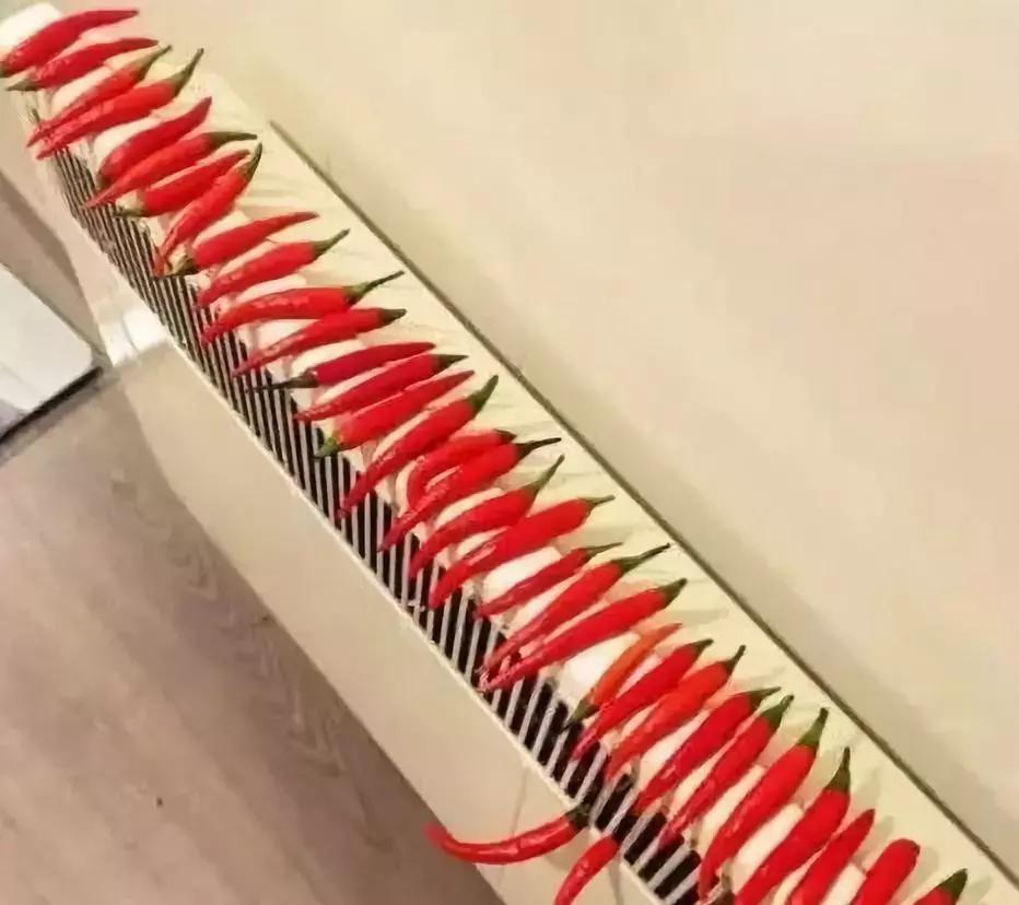 给干枯的身体洒水,给肌肤补充水分让皮肤放松