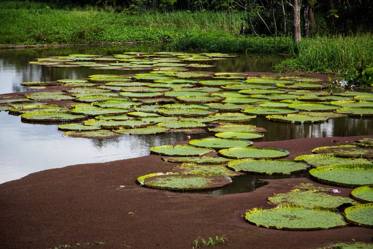 南美之旅总结篇,南美之行结束感悟