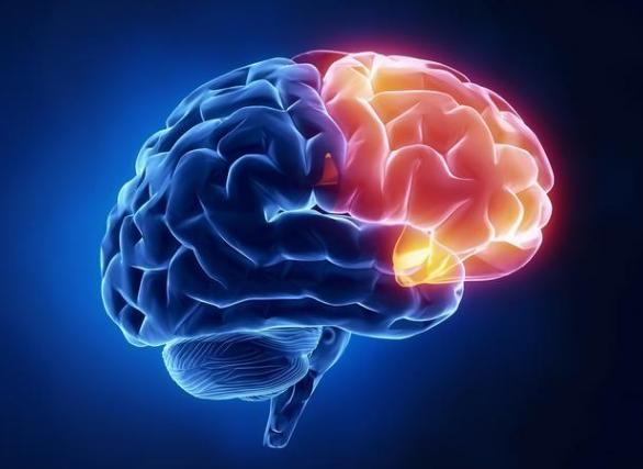 颈部血管支架预防破裂,颈部静脉血管支架