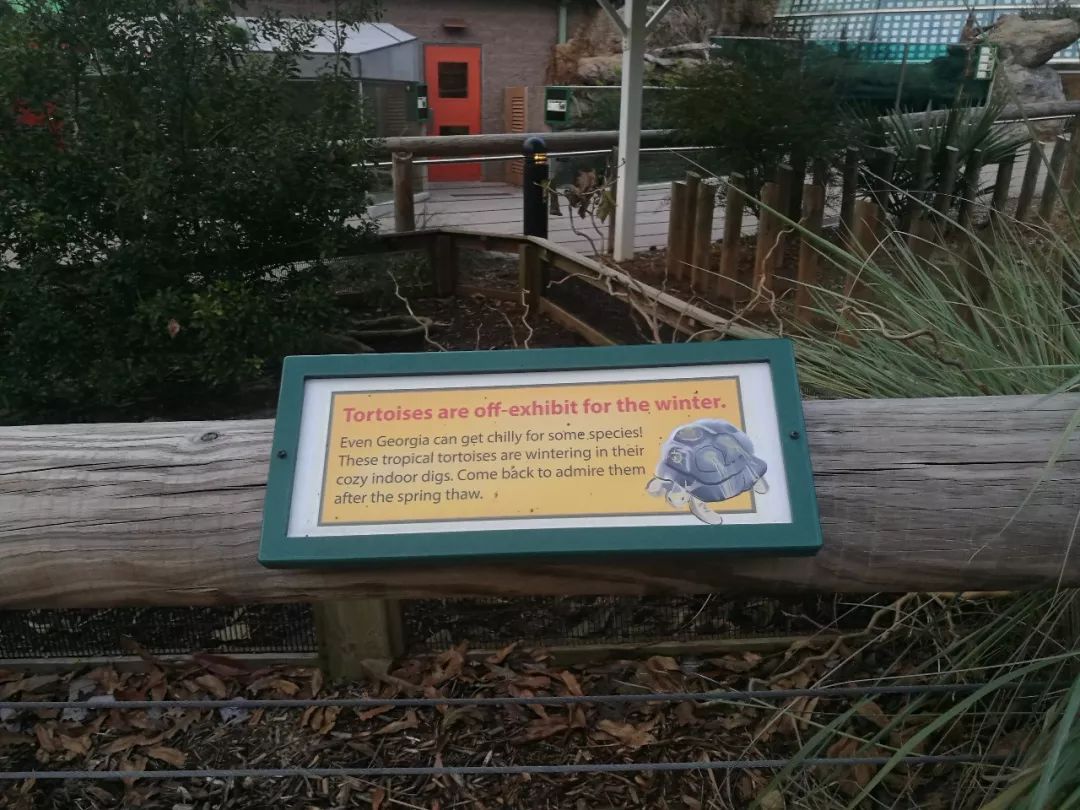 亚特兰大动物园,亚特兰大动物园和华盛顿动物园