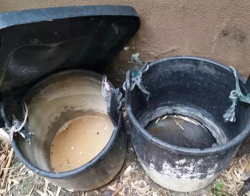 温州蚊子怎么这么多,蚊子警报