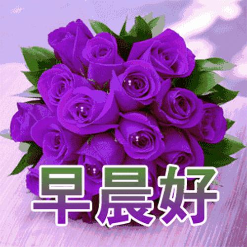 早上好周末愉快问候语动态表情包,周一问候早上好带字美图