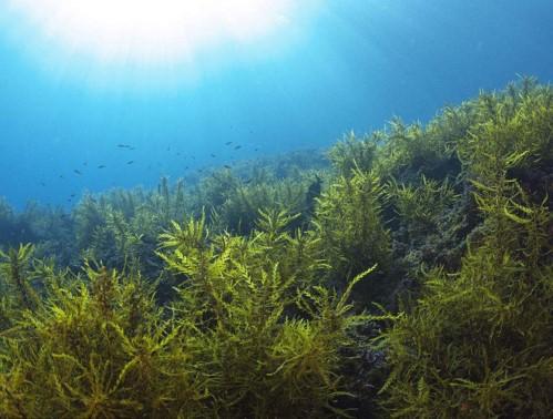 改善脸部皱纹紧致肌肤用什么护肤,日常紧致脸部最好的方法