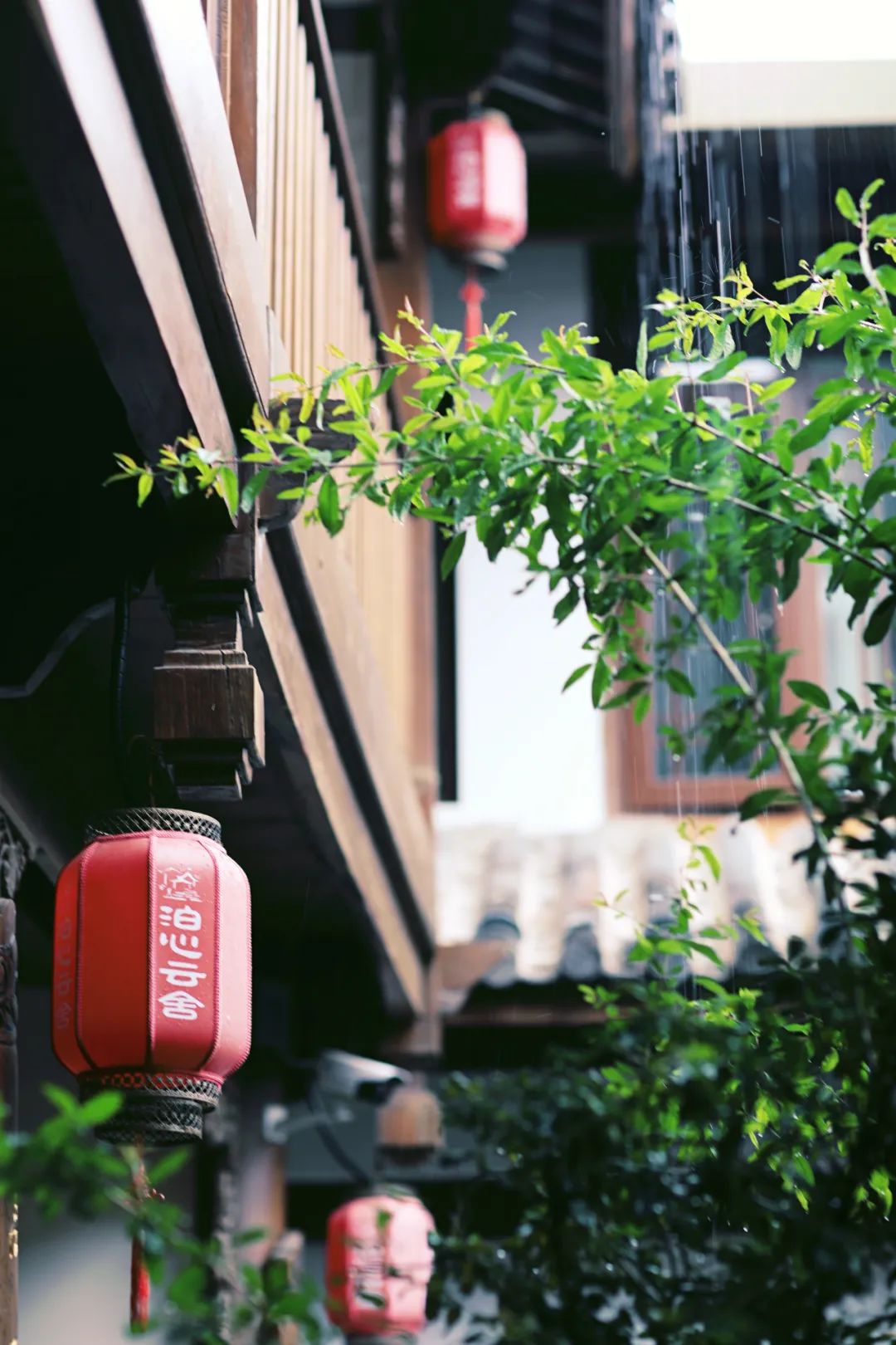 推荐云南丽江民宿,值得去的丽江民宿