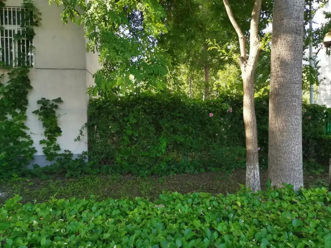 天津市独立院校（四）天津财经大学珠江学院