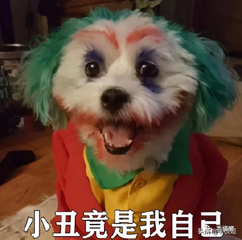 签名、挂横幅，在与“邪恶资本”的较量中，DC粉最终收获了胜利