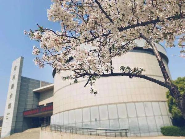 开封文化公园游玩攻略,开封森林公园有几处景点