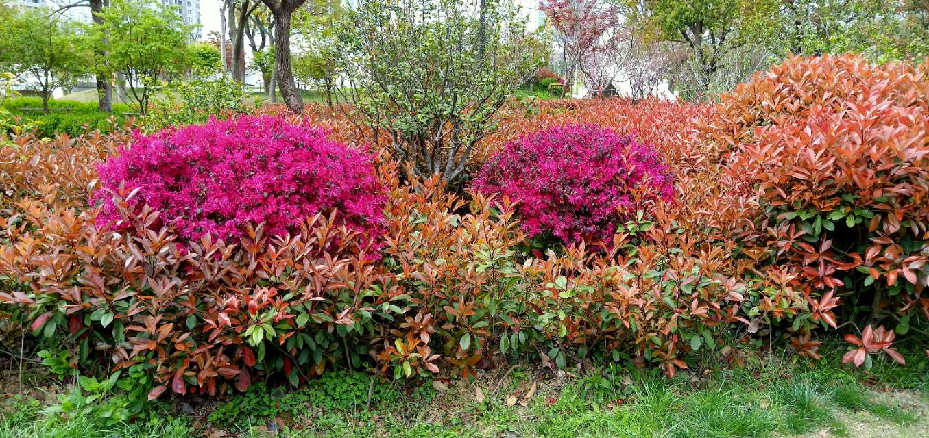 用文言文说学习秘诀,点拨怎么使用