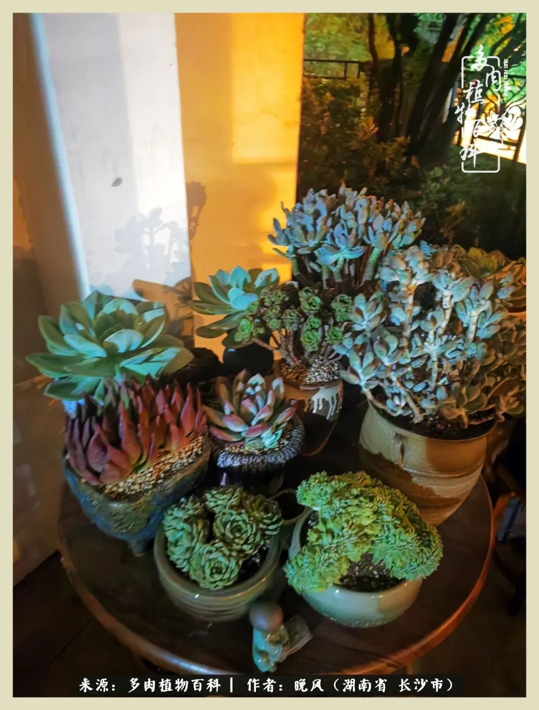 摇身一变成了奶爸,摇身一变成为打工人